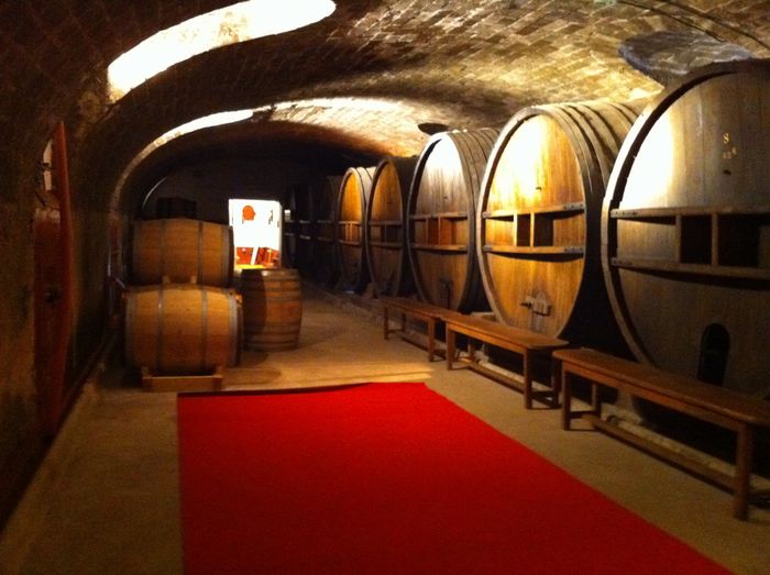 Chateau Saint Martin
