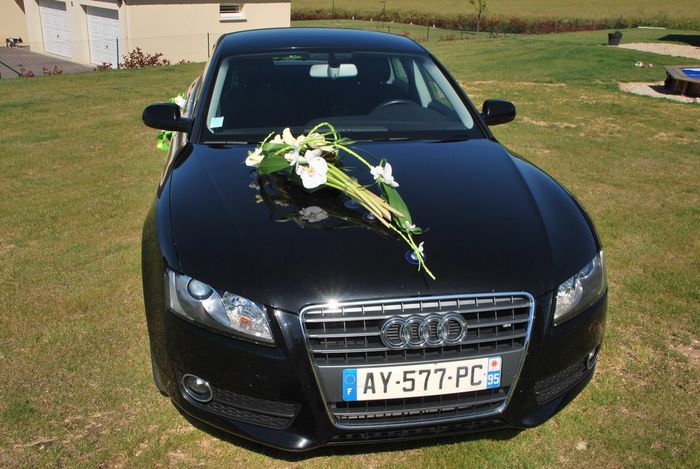 Déco de voiture