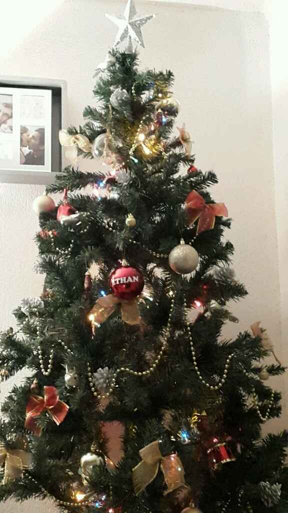 A vos sapins !!! - 1