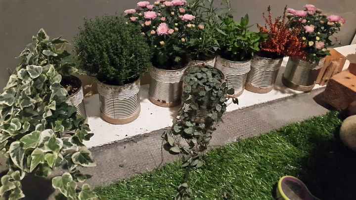 J-3 remportage des plantes !! - 1
