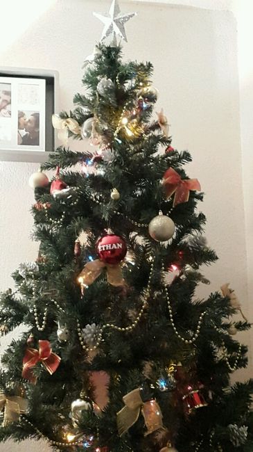A vos sapins !!! - 1