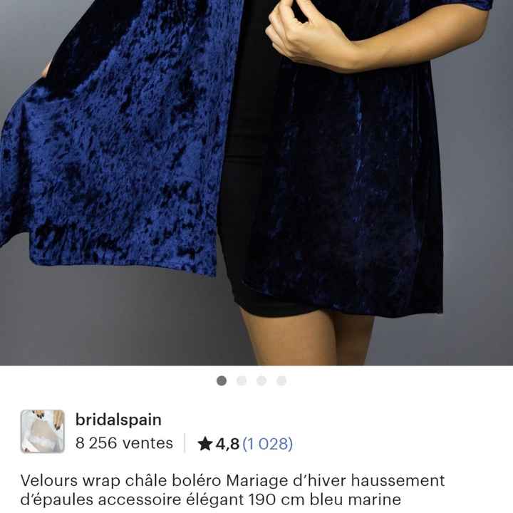 Châle bleu roi - 1