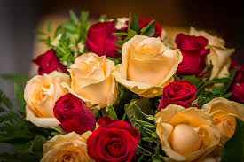 ❄️ Tendances hiver : 3 bouquets ! - 14