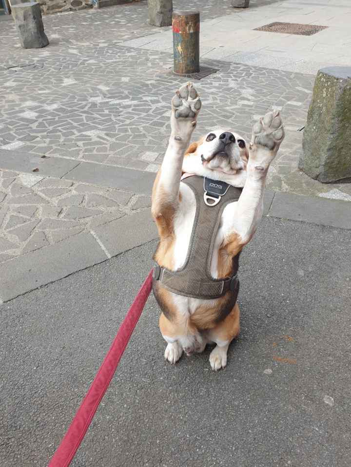 Le mariage et la place de la famille : les enfants ❣️👀 - 1
