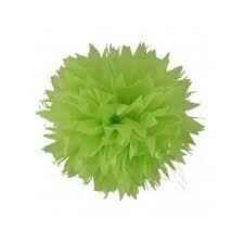 Pompom - 1