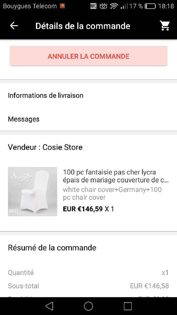 Premier achat déco !! Ali express a encore frappé ! - 1