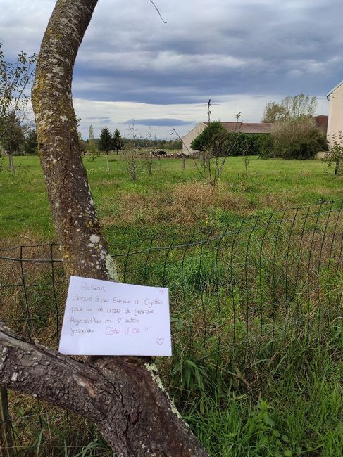 Love note en urgence 9