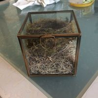 Contenant alliance - 1