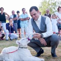 Quelques photos de ma journée - 6