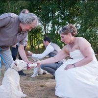 Quelques photos de ma journée - 7