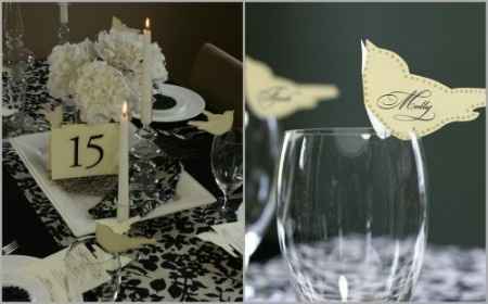 Marque place oiseau