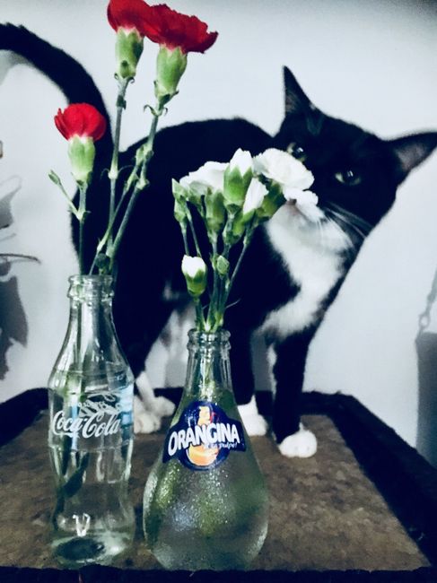 Mon premier test déco - 5