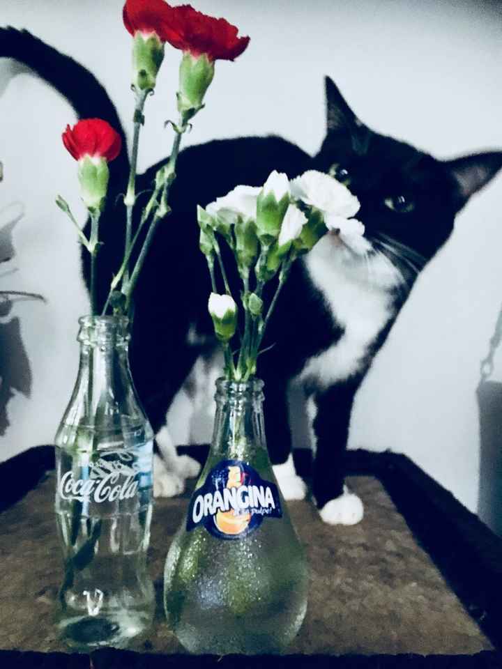 Mon premier test déco - 5