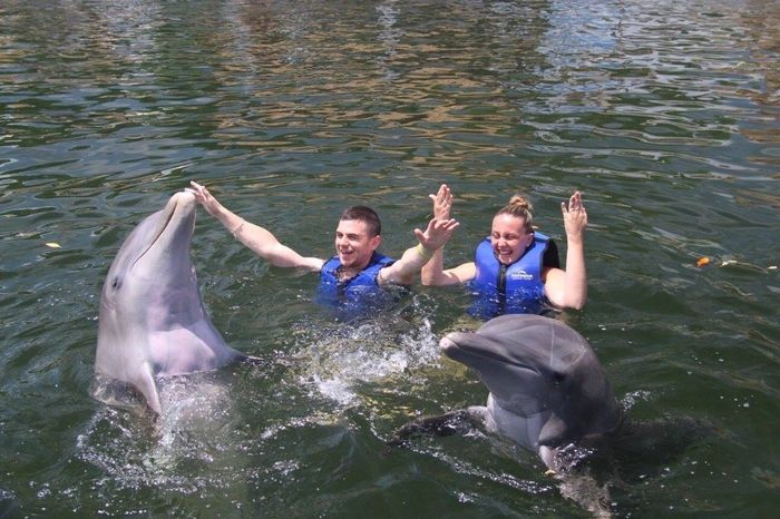 Avec les dauphins