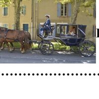 Duel : calèche ou voiture pour l'arrivée des mariés ? - 1