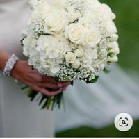 Bouquet  blanc ou bouquet coloré ? - 2