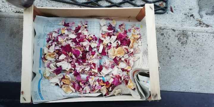 Confettis en pétales - 1