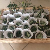 Inspiration thème de l'olivier - 1