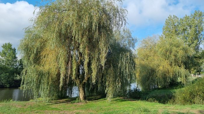 Nous nous marions le 19 Août 2023 - Ille et Vilaine 1