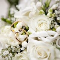 toujours dans le vert et blanc