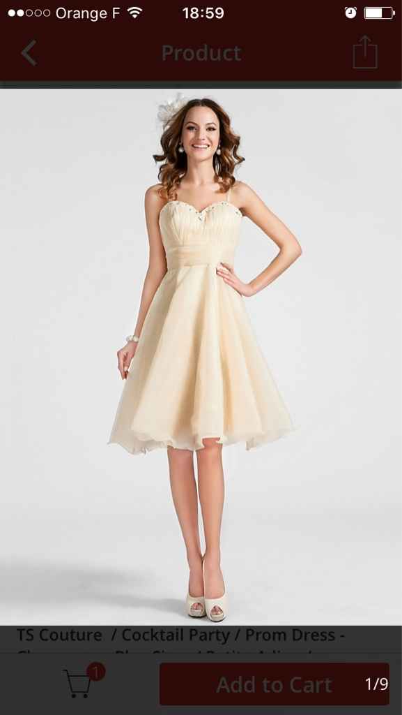 Tenue pour ma mere - 1