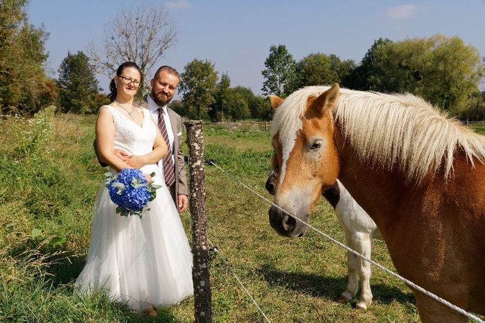Avec les poneys du gîte