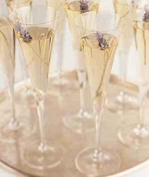champagne