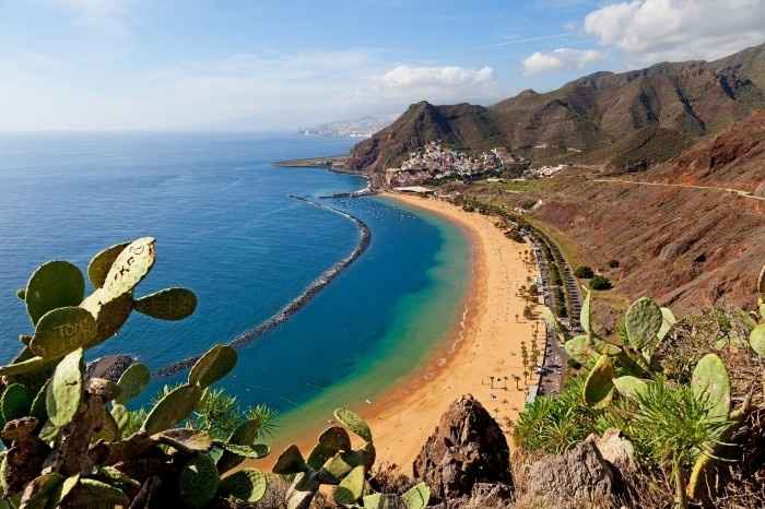 canaries