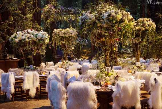mariage Sean Parker