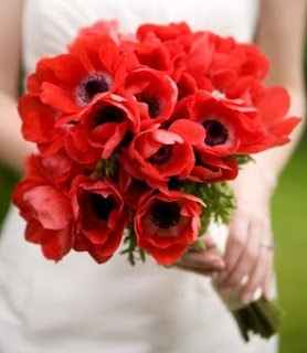 coquelicot bouquet