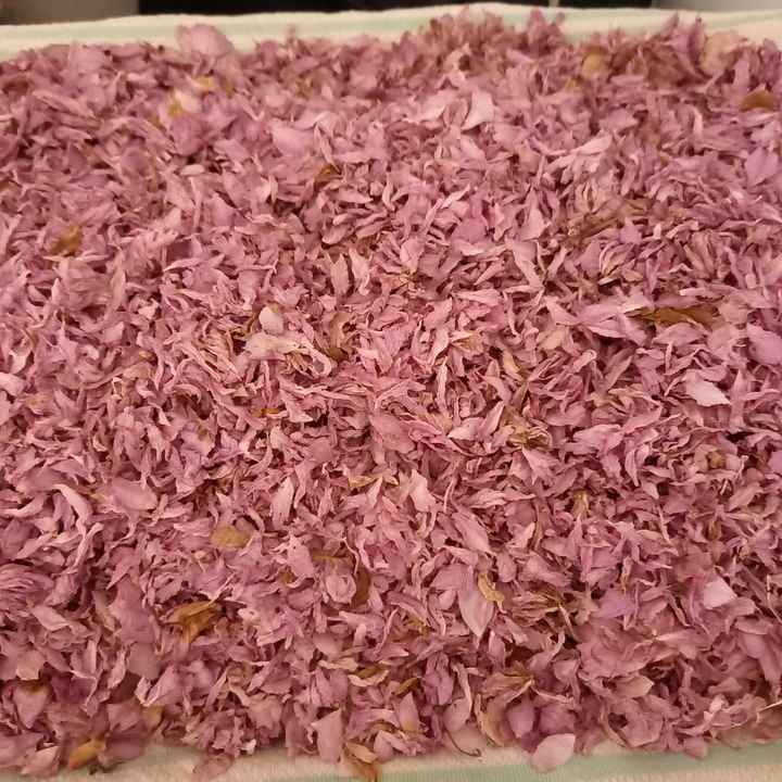 Petales de fleurs - 3