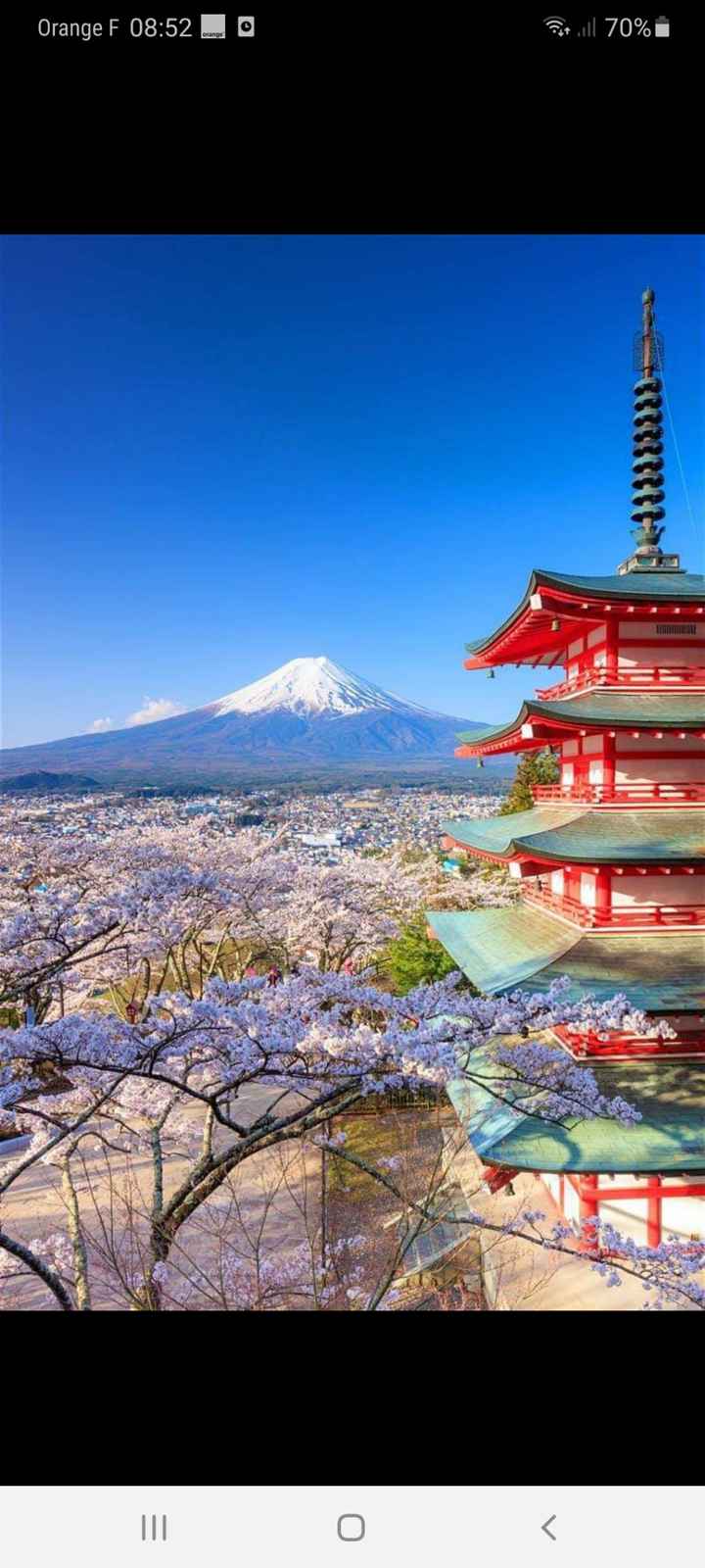 Le juste prix 🛒💎 La lune de miel - 1