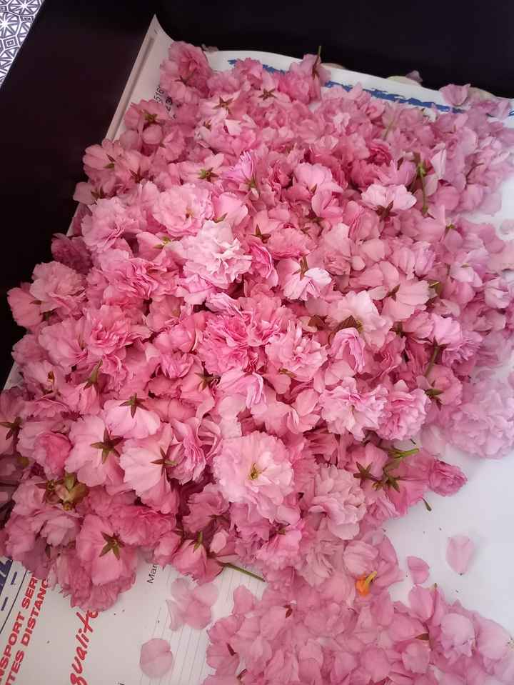 Un mariage inoubliable 🥰 28 08 2021 Orléans - 3