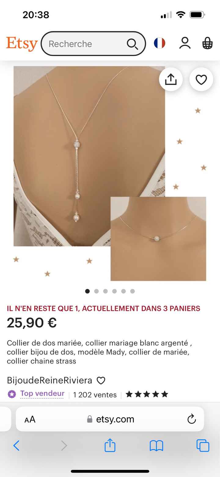 Recherche Colier de dos - 1