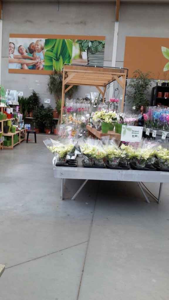 Famiflora belgique - 1