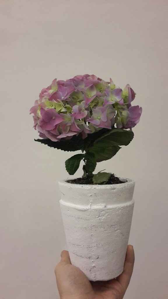 Famiflora belgique - 5