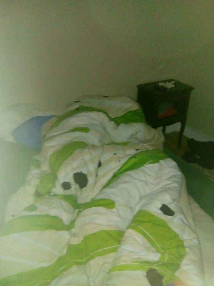 Même le chien est prêt - 1