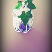 Dragées cage à oiseaux pour 1 euro ! - 1