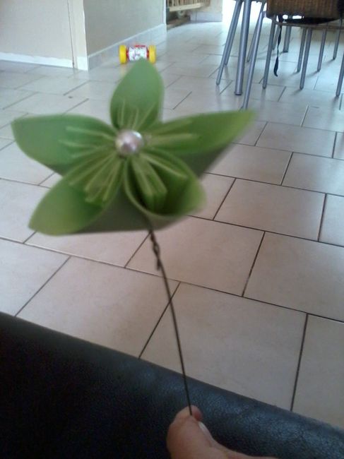 Ma première fleur