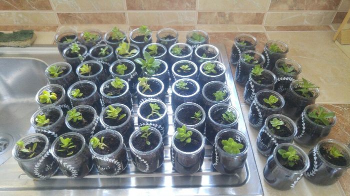 En panne d'idées - 1