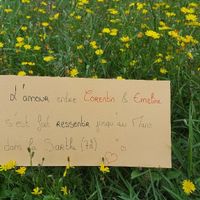 Besoin d'aide - love notes - 1