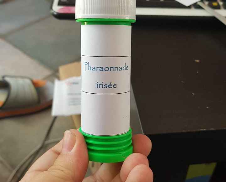 Test de bulles sorties de mairie - 1