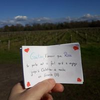 Voilà les filles comme promis en espérant que ça vous ira 