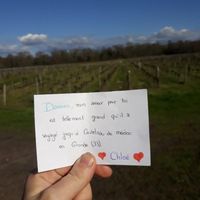 Voilà les filles comme promis en espérant que ça vous ira 