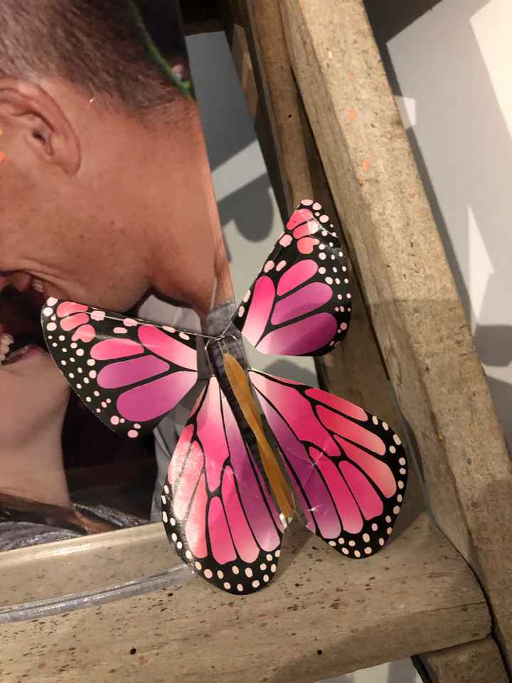 Témoin dh des perles rares - 1