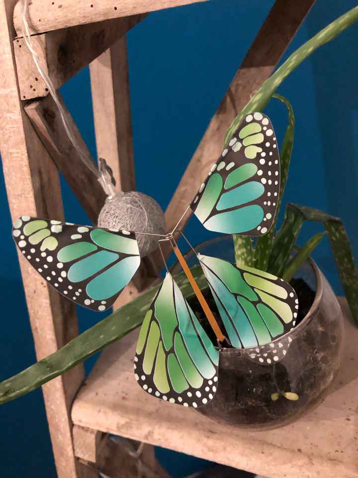 Témoin dh des perles rares - 2