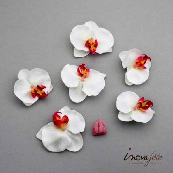 tete d'orchidÃ©e blanche et rose fushia