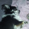 Leroy