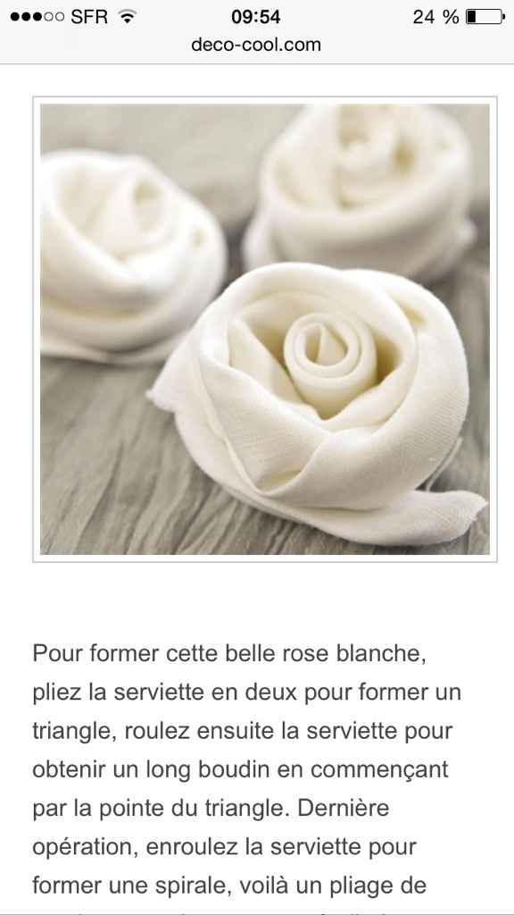 Pour quel pliage de serviette opterez vous ? - 1