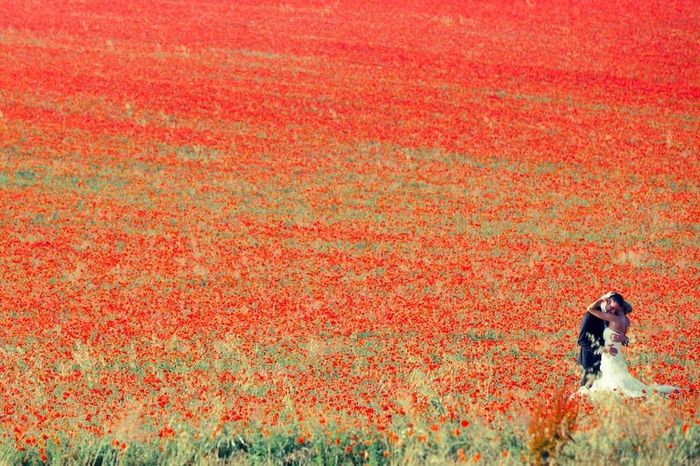 mariés coquelicots
